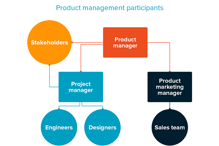 Product Management: Main Stages and Product Manager Role | AltexSoft