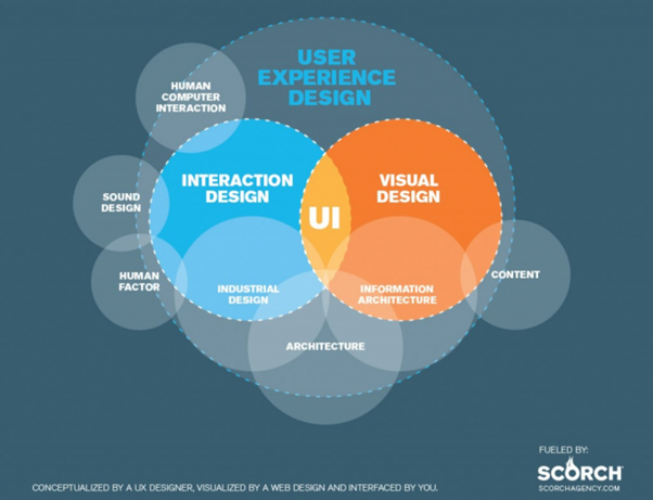 Information Architecture For Web Design: Step By Step Guide | AltexSoft