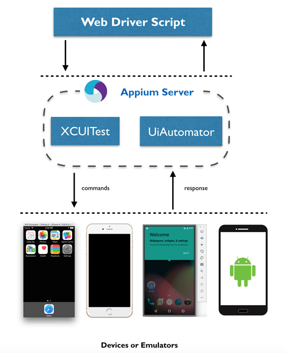appium tutorial for mobile web
