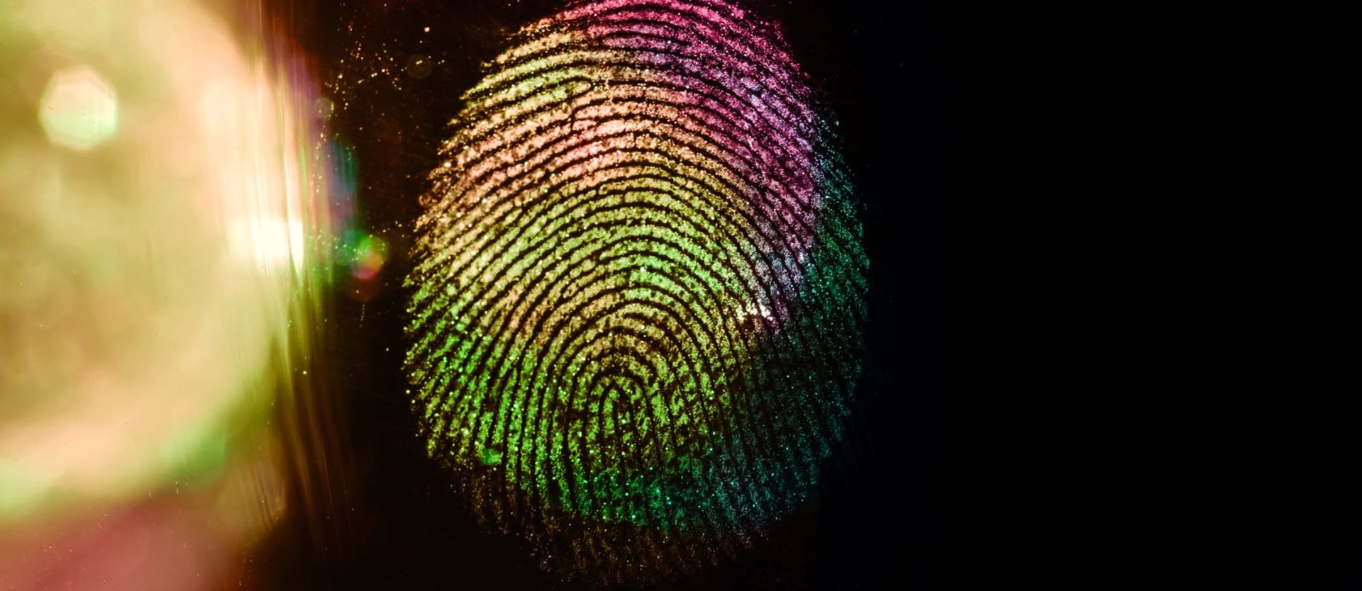 macro fingerprint