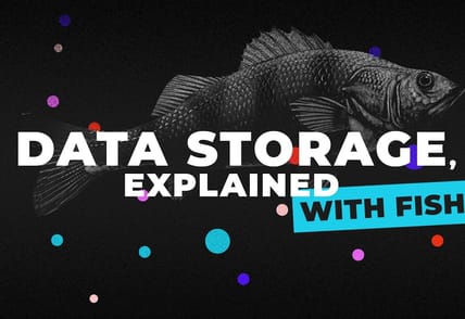 Data Storage for Analytics and Machine Learning