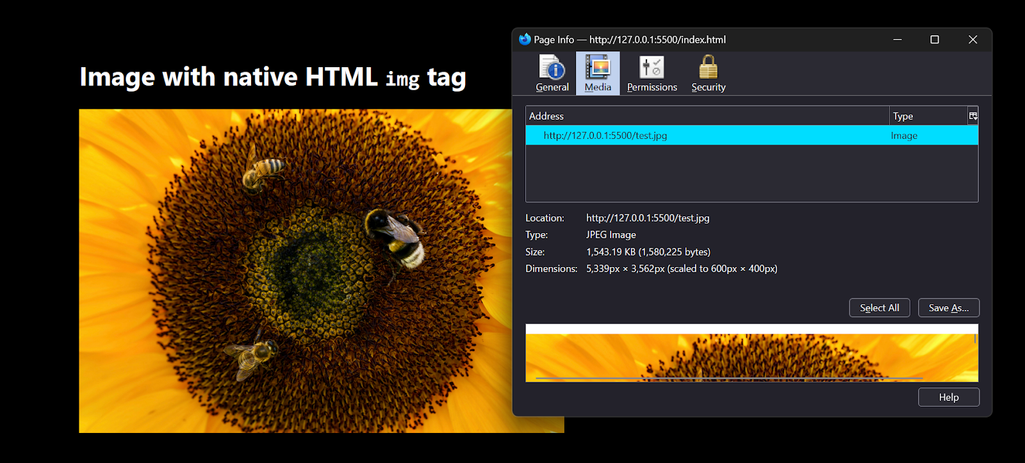 1.5MB image rendered with native HTML image component