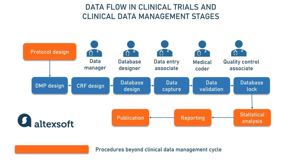 Clinical data management stages