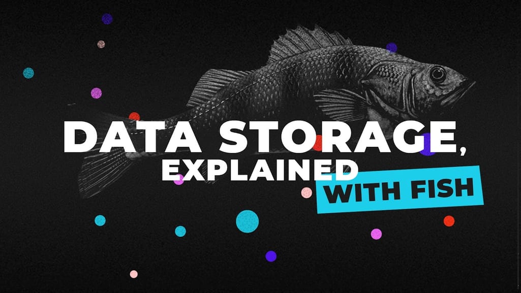 Data Storage for Analytics and Machine Learning