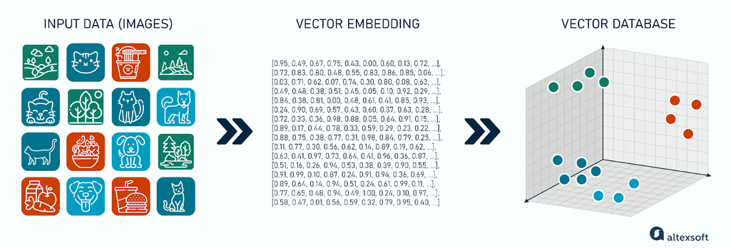 Vector database containing image embeddings